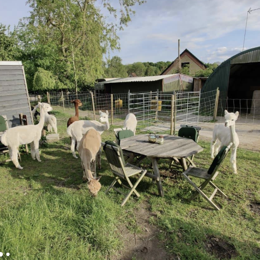 0 - gavehylden.dk